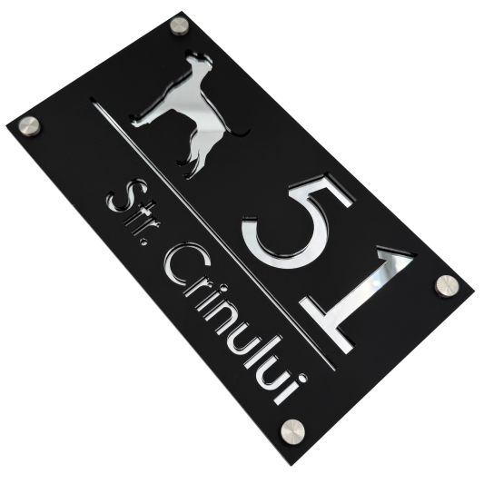 NUMAR CASA PREMIUM - Negru Satinat / Argintiu Oglinda / 4 Distantieri Argintii - 28x15cm