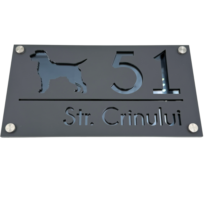 NUMAR CASA PREMIUM - Gri Satinat / Gri Antracit Oglinda / 4 Distantieri Argintii - 28x15cm
