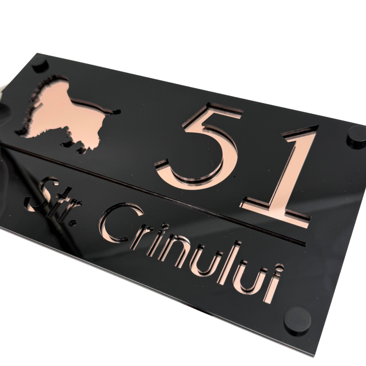 NUMAR CASA PREMIUM - Negru Lucios / Roze Auriu Oglinda / 4 Distantieri Negrii - 28x15cm