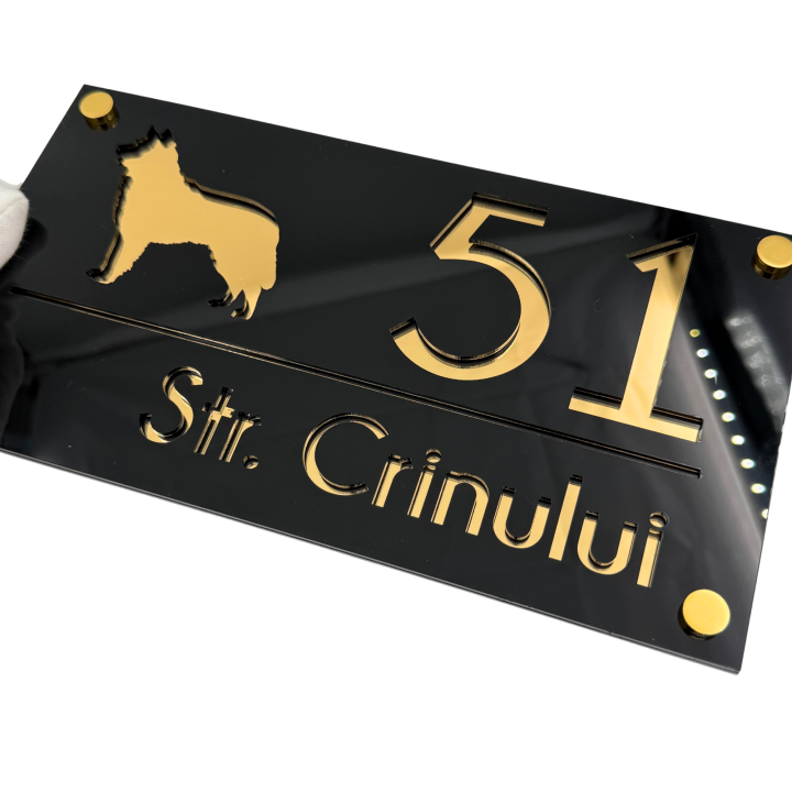 NUMAR CASA PREMIUM - Negru Lucios / Auriu Oglinda / 4 Distantieri Aurii - 28x15cm