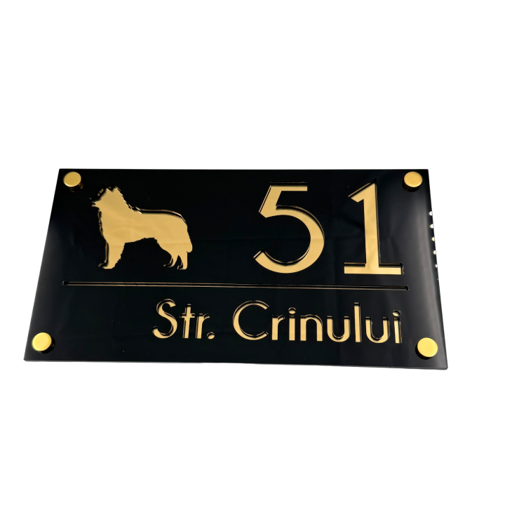 NUMAR CASA PREMIUM - Negru Lucios / Auriu Oglinda / 4 Distantieri Aurii - 28x15cm
