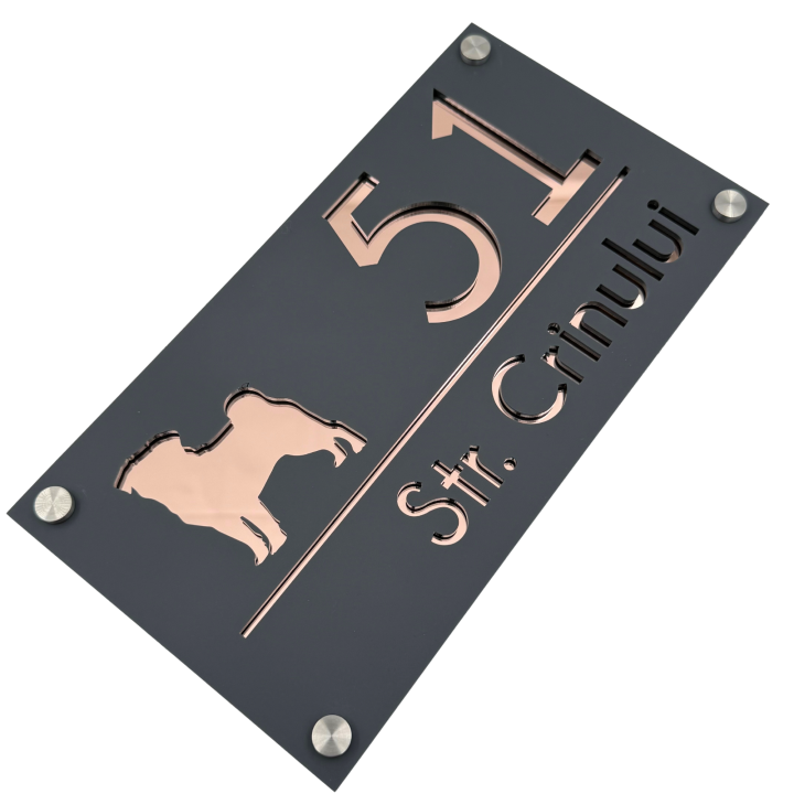 NUMAR CASA PREMIUM - Gri Satinat / Roze Auriu Oglinda / 4 Distantieri Argintii - 28x15cm