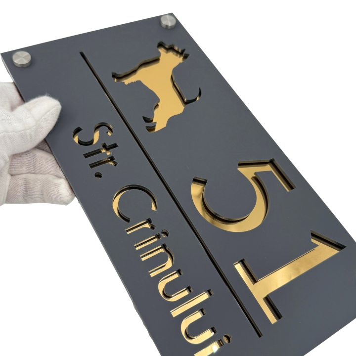 NUMAR CASA PREMIUM - Gri Satinat / Auriu Oglinda / 4 Distantieri Argintii - 28x15cm