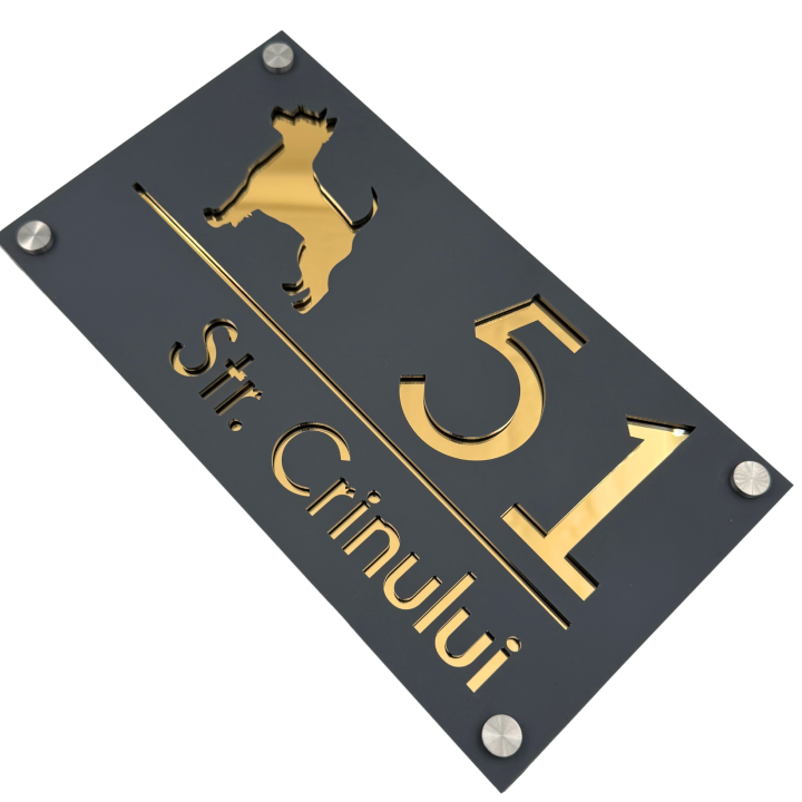 NUMAR CASA PREMIUM - Gri Satinat / Auriu Oglinda / 4 Distantieri Argintii - 28x15cm