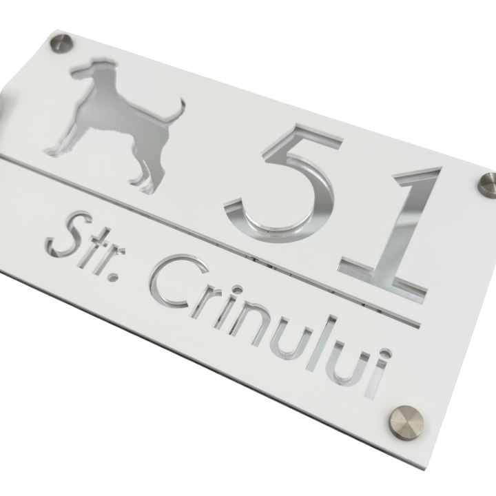 NUMAR CASA PREMIUM - Alb Satinat / Argintiu Oglinda / 4 Distantieri Argintii - 28x15cm