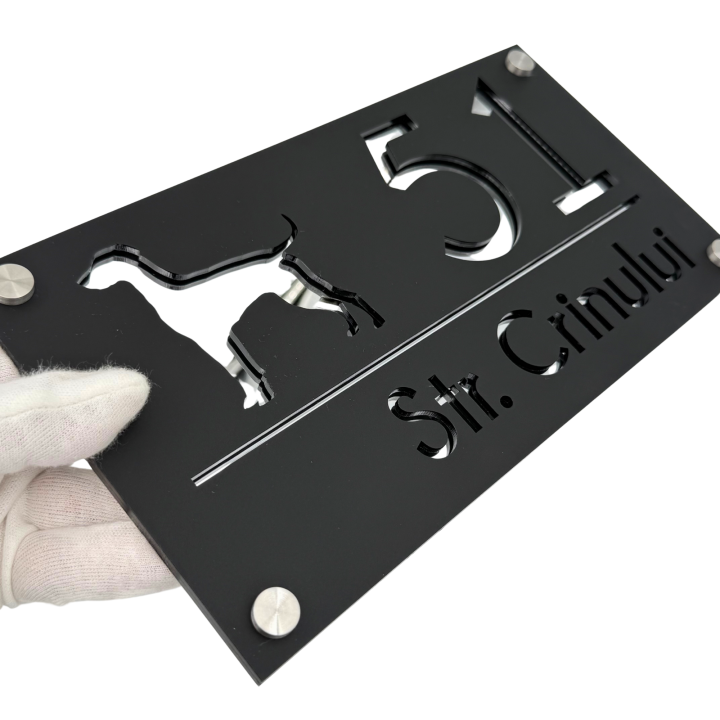 NUMAR CASA PREMIUM - Negru Satinat / Argintiu Oglinda / 4 Distantieri Argintii - 28x15cm