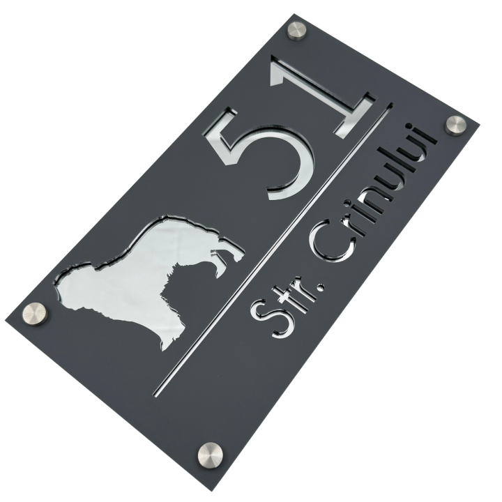 NUMAR CASA PREMIUM - Gri Satinat / Argintiu Oglinda / 4 Distantieri Argintii - 28x15cm